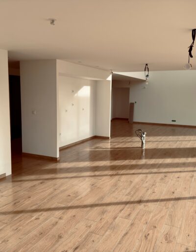 DUMOULIN - PIECE DE VIE 2